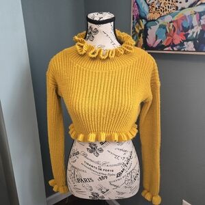 Miss Toxic Long Sleeve Knit Crop Top